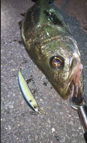 hideup 久次米良信 ブログ写真 2020/06/05