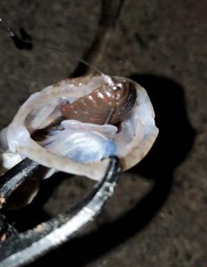 hideup 久次米良信 ブログ写真 2020/06/06