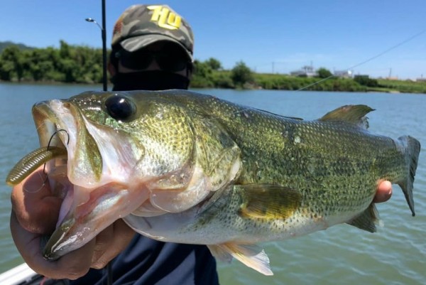 hideup 久次米良信 ブログ写真 2020/06/08