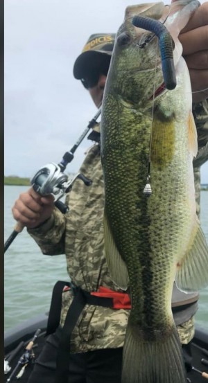 hideup 久次米良信 ブログ写真 2020/06/09