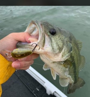 hideup 久次米良信 ブログ写真 2020/06/11