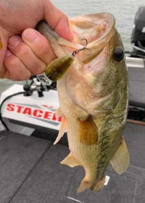 hideup 久次米良信 ブログ写真 2020/06/11