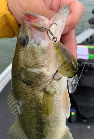 hideup 久次米良信 ブログ写真 2020/06/11