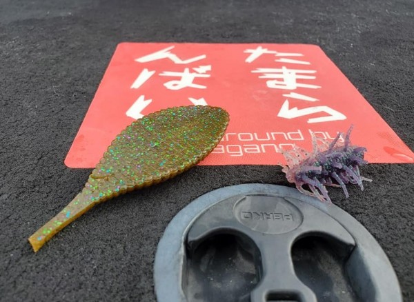 hideup 久次米良信 ブログ写真 2020/06/15