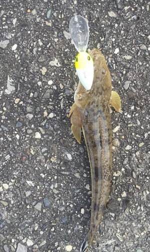 hideup 久次米良信 ブログ写真 2020/06/16