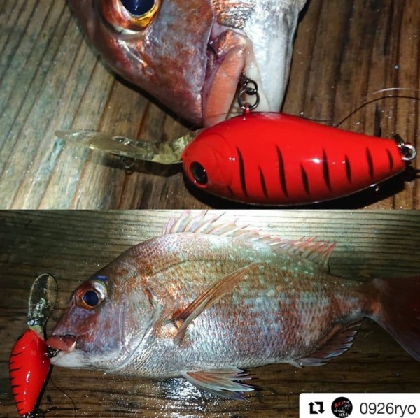 hideup 久次米良信 ブログ写真 2020/06/16