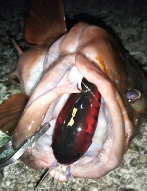 hideup 久次米良信 ブログ写真 2020/06/22