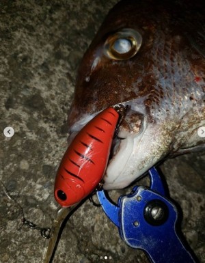 hideup 久次米良信 ブログ写真 2020/07/01