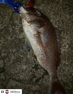 hideup 久次米良信 ブログ写真 2020/07/01