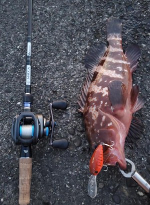 hideup 久次米良信 ブログ写真 2020/07/02