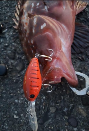 hideup 久次米良信 ブログ写真 2020/07/02