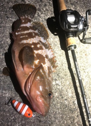 hideup 久次米良信 ブログ写真 2020/07/03