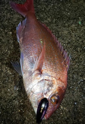 hideup 久次米良信 ブログ写真 2020/07/04