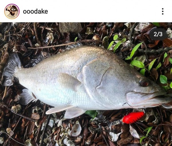 hideup 久次米良信 ブログ写真 2020/07/07