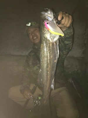 hideup 久次米良信 ブログ写真 2020/07/09