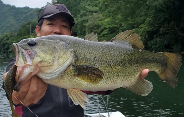 hideup 久次米良信 ブログ写真 2020/07/13