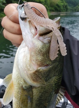 hideup 久次米良信 ブログ写真 2020/07/13