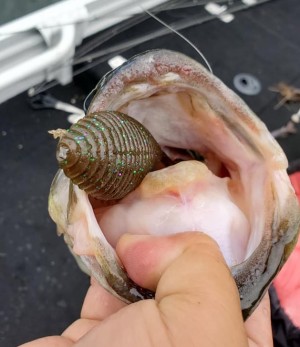 hideup 久次米良信 ブログ写真 2020/07/13