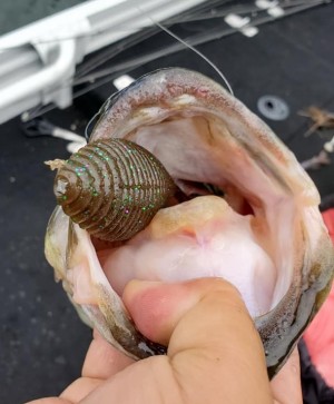 hideup 久次米良信 ブログ写真 2020/07/14