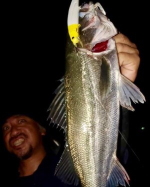 hideup 久次米良信 ブログ写真 2020/07/16