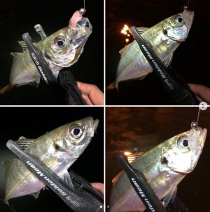 hideup 久次米良信 ブログ写真 2020/07/18