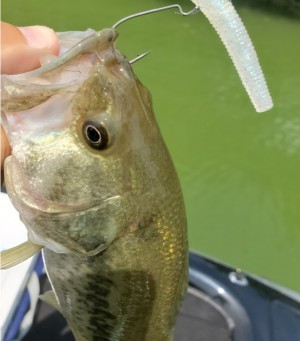 hideup 久次米良信 ブログ写真 2020/07/20