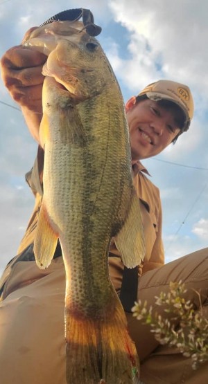 hideup 久次米良信 ブログ写真 2020/08/01