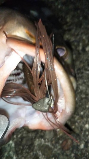 hideup 久次米良信 ブログ写真 2020/08/08