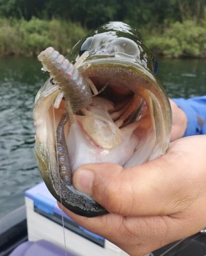 hideup 久次米良信 ブログ写真 2020/08/13