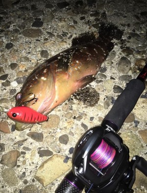 hideup 久次米良信 ブログ写真 2020/08/20