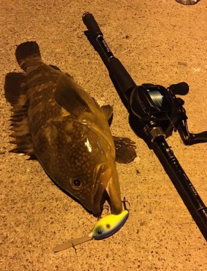 hideup 久次米良信 ブログ写真 2020/08/20