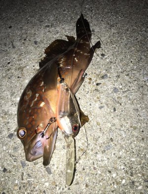 hideup 久次米良信 ブログ写真 2020/08/20