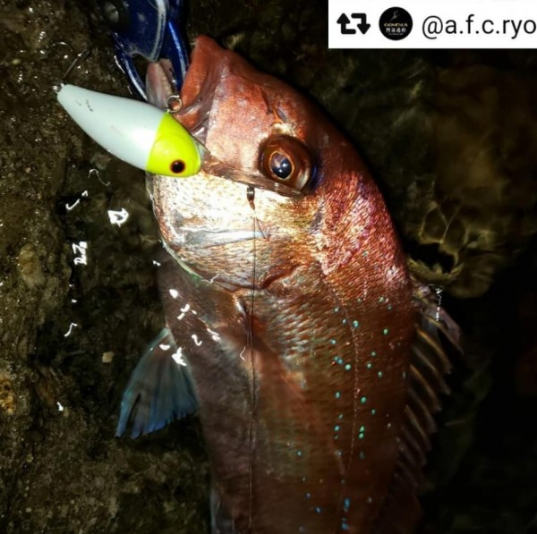 hideup 久次米良信 ブログ写真 2020/09/09