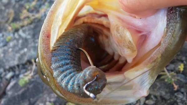 hideup 久次米良信 ブログ写真 2020/09/12