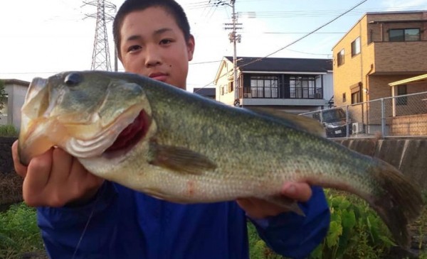 hideup 久次米良信 ブログ写真 2020/09/12