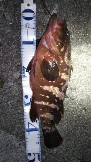 hideup 久次米良信 ブログ写真 2020/09/17