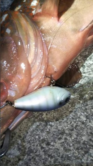 hideup 久次米良信 ブログ写真 2020/09/17