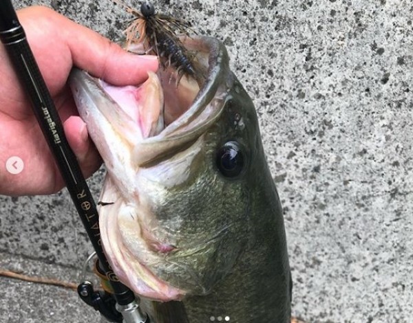 hideup 久次米良信 ブログ写真 2020/09/18