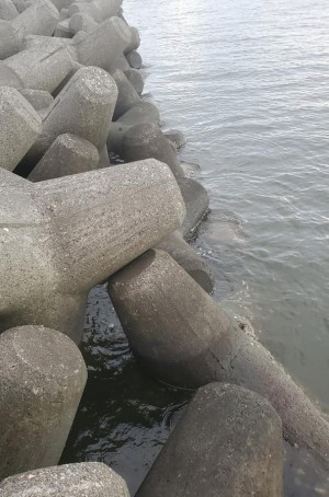 hideup 久次米良信 ブログ写真 2020/09/19