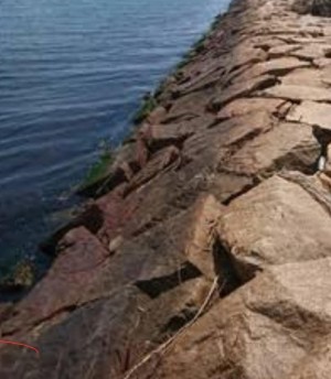 hideup 久次米良信 ブログ写真 2020/09/19