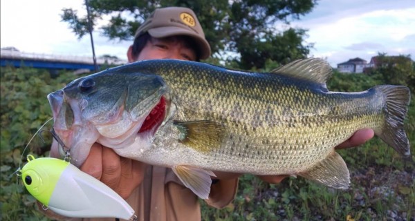 hideup 久次米良信 ブログ写真 2020/10/03