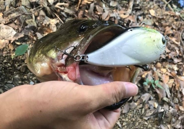 hideup 久次米良信 ブログ写真 2020/10/03