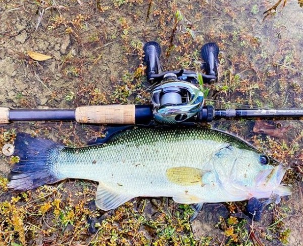 hideup 久次米良信 ブログ写真 2020/10/07