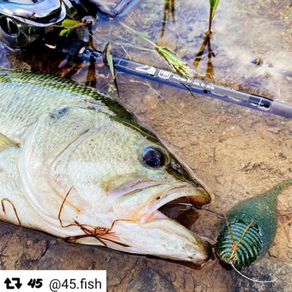 hideup 久次米良信 ブログ写真 2020/10/07