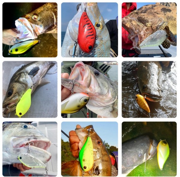 hideup 久次米良信 ブログ写真 2020/10/10