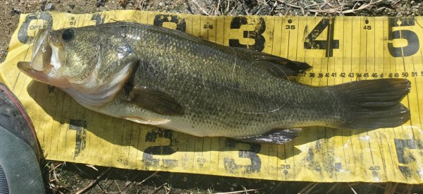 hideup 久次米良信 ブログ写真 2020/10/12