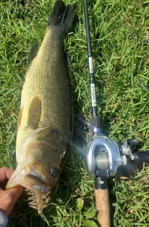 hideup 久次米良信 ブログ写真 2020/10/12