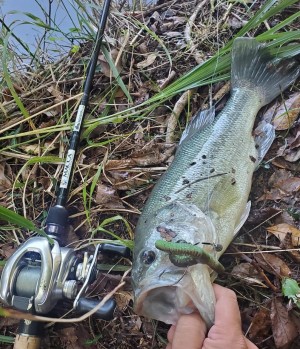 hideup 久次米良信 ブログ写真 2020/10/13