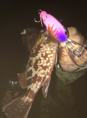 hideup 久次米良信 ブログ写真 2020/10/15