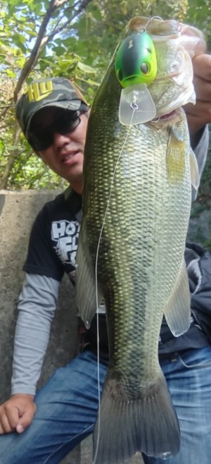 hideup 久次米良信 ブログ写真 2020/10/17